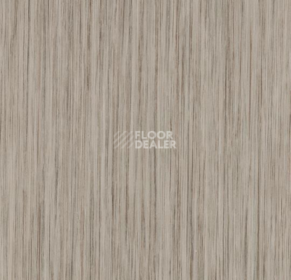 Линолеум Forbo Sarlon Wood 15dB 121T4315 grey linea фото 1 | FLOORDEALER